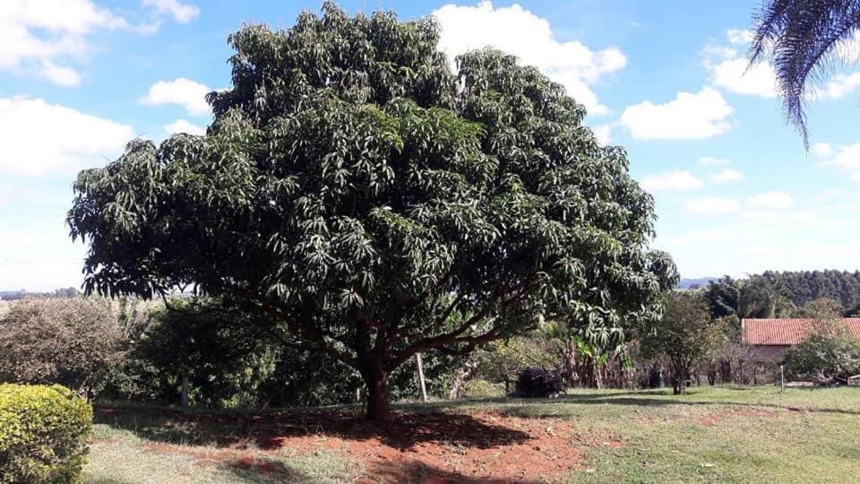 Sitio Em Atibaia - Sitio Beija-Flor Villa Екстериор снимка